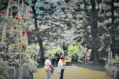暑い！