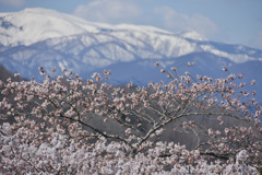 連峰を望む