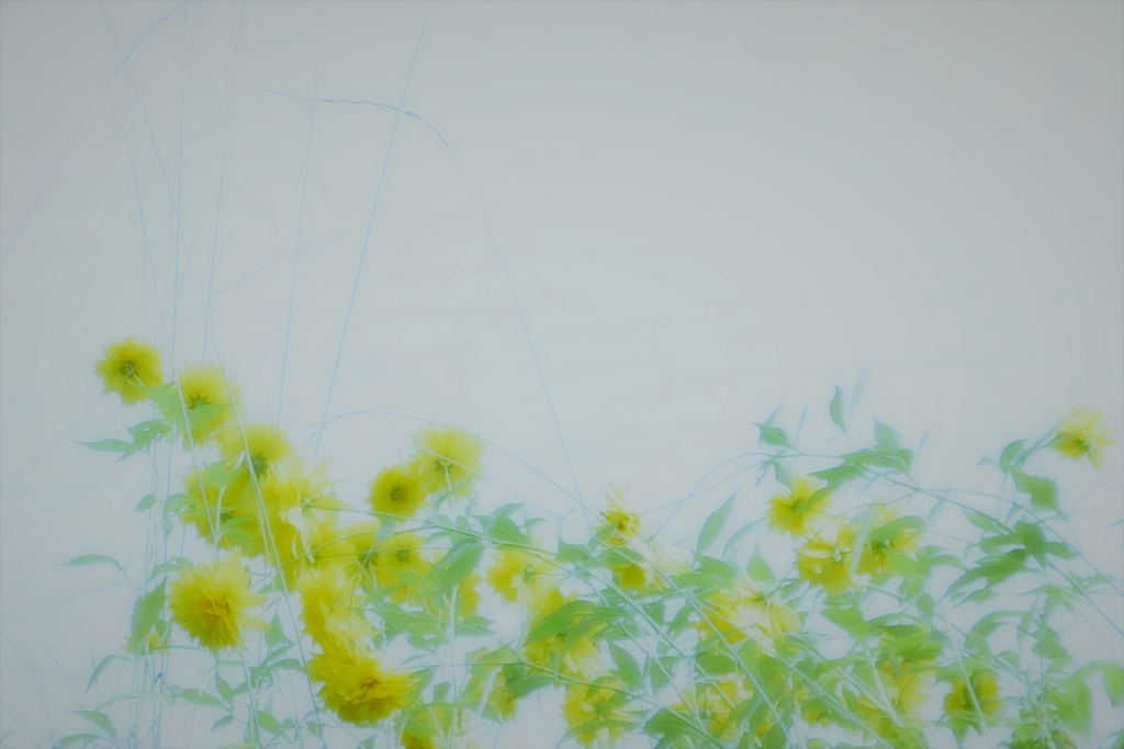 花は咲く