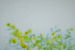 花は咲く