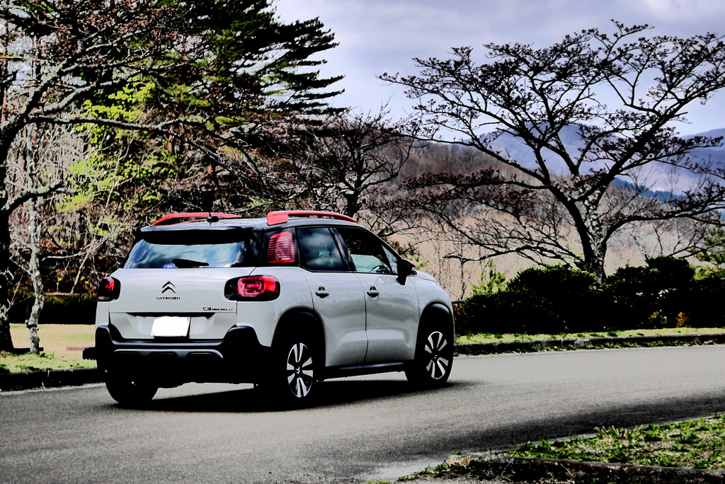 家族で写真を撮って帰った外車！