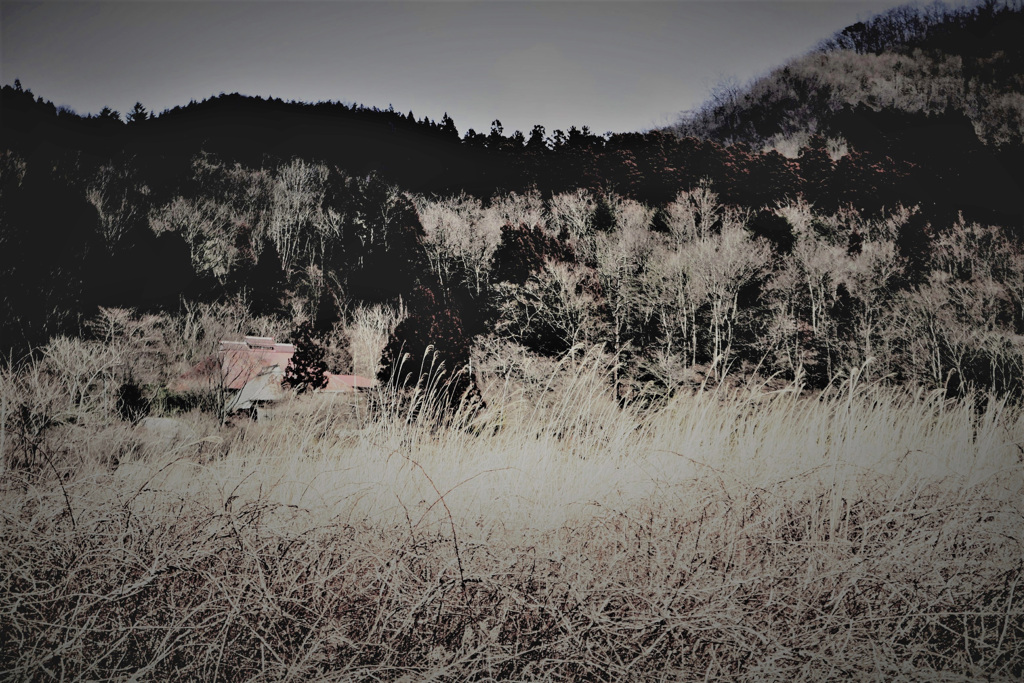 住む