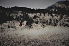 住む