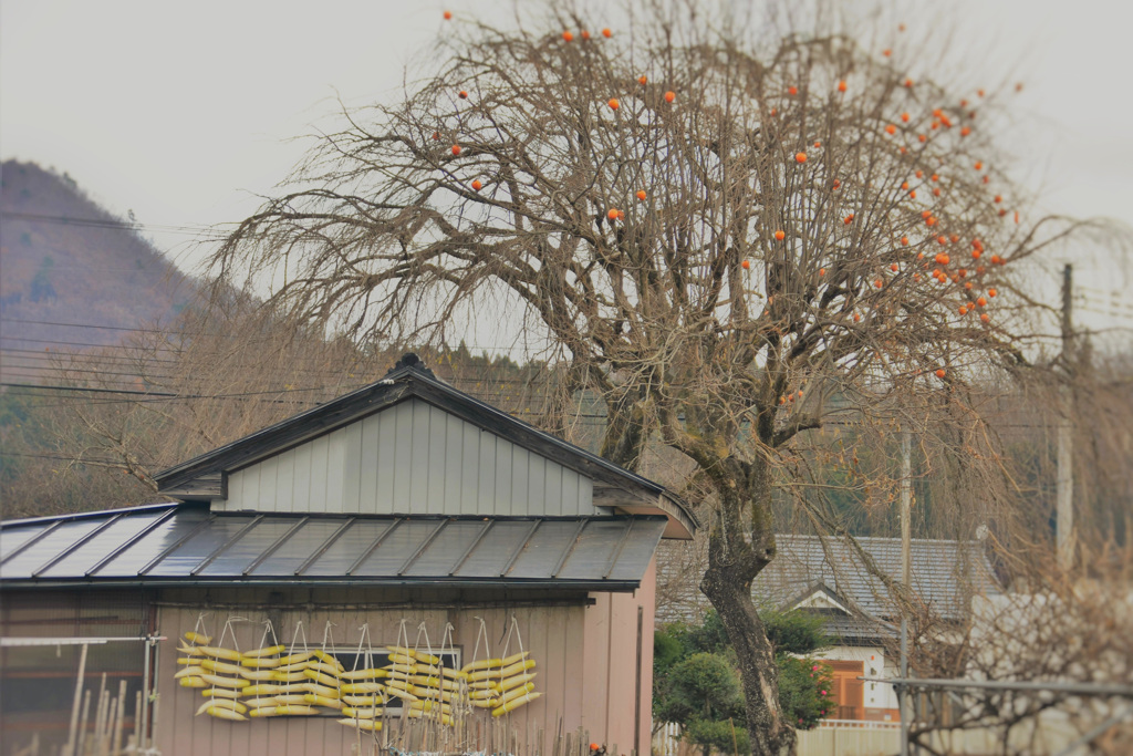 農村の風景。