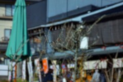 記憶