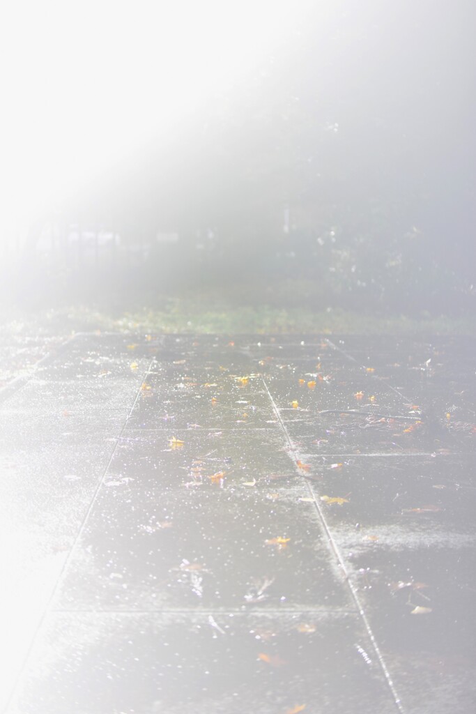 雨上がり