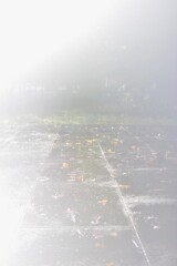 雨上がり