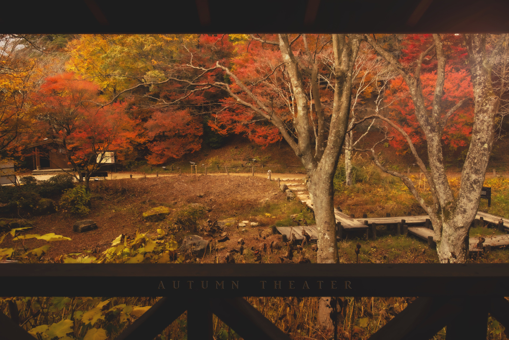 autumn theater