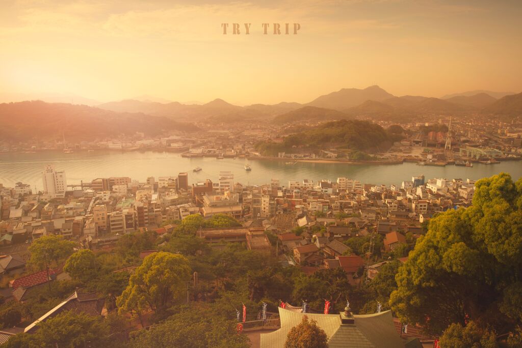 TRY TRIP