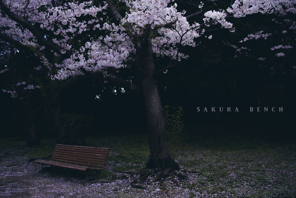 Sakura