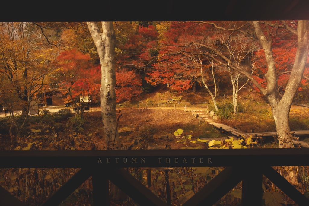 autumn theater
