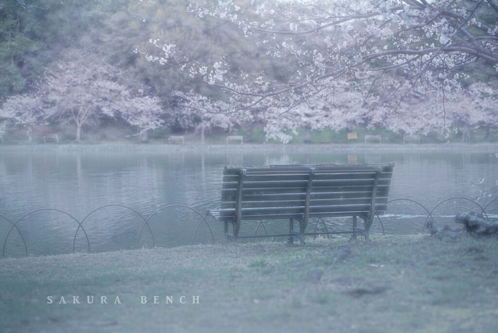 sakura