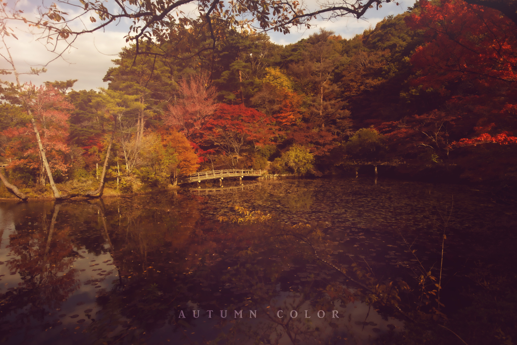 autumn color