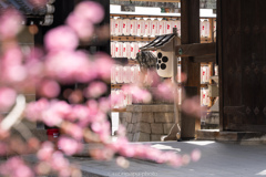 天満宮、東門。