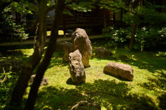 建仁寺の庭園。