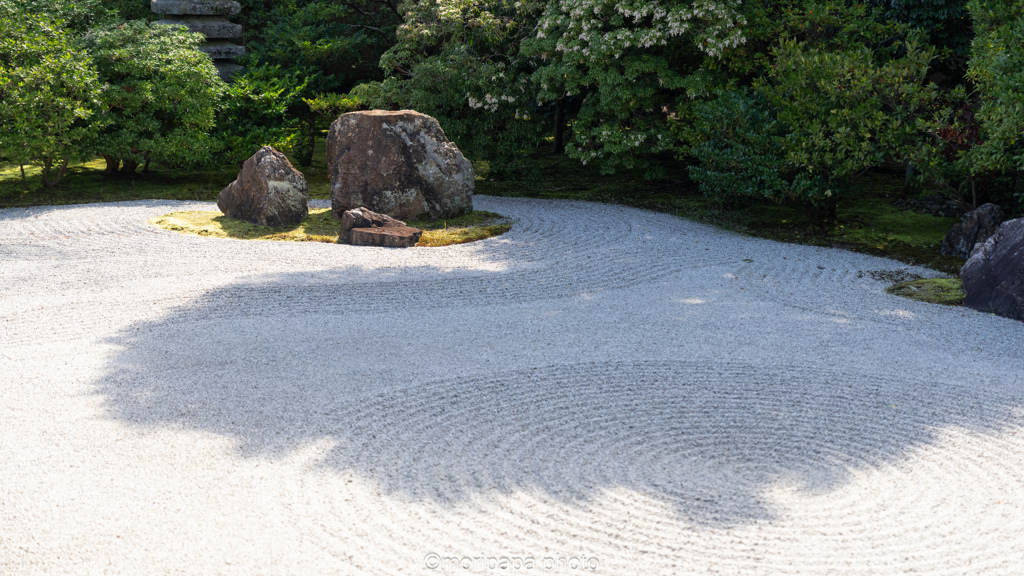 建仁寺のお庭。