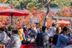 紅葉を満喫する。