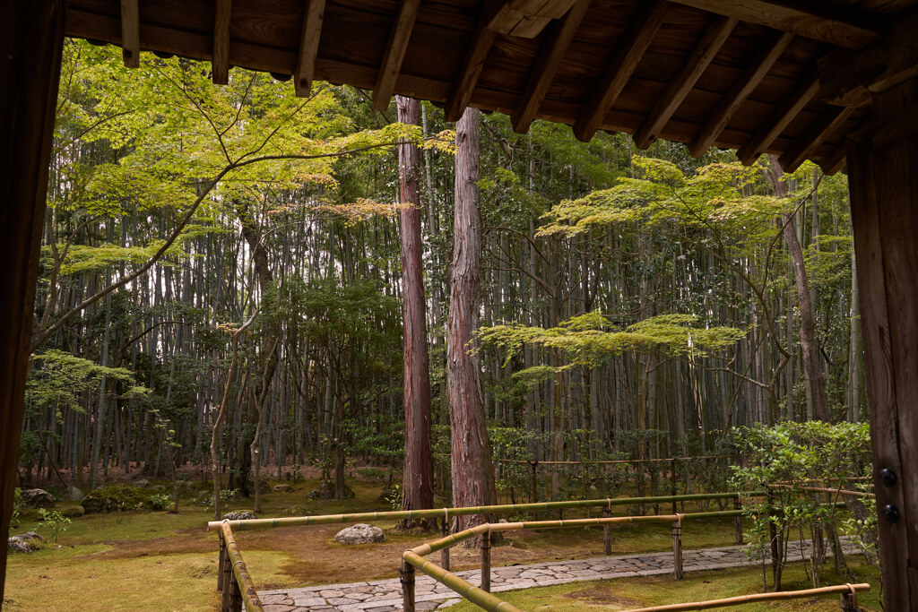 大徳寺の高桐院の入口。