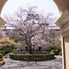春の庭園。