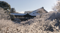 東福寺通天橋。