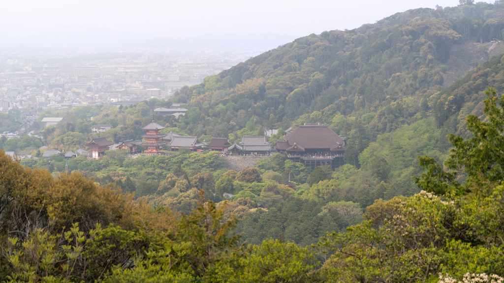 清水寺を眺める。