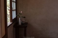 三千院、一輪の花瓶。