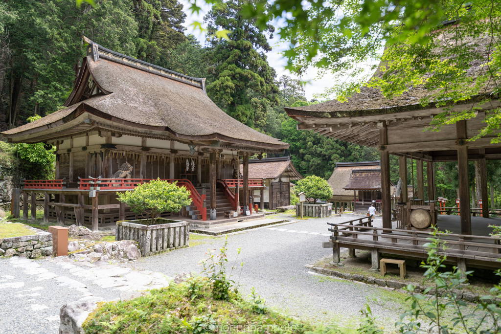 日吉大社、宇佐宮。
