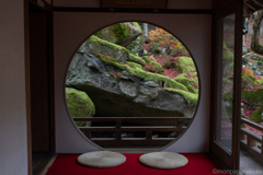 教林坊、本堂の窓。