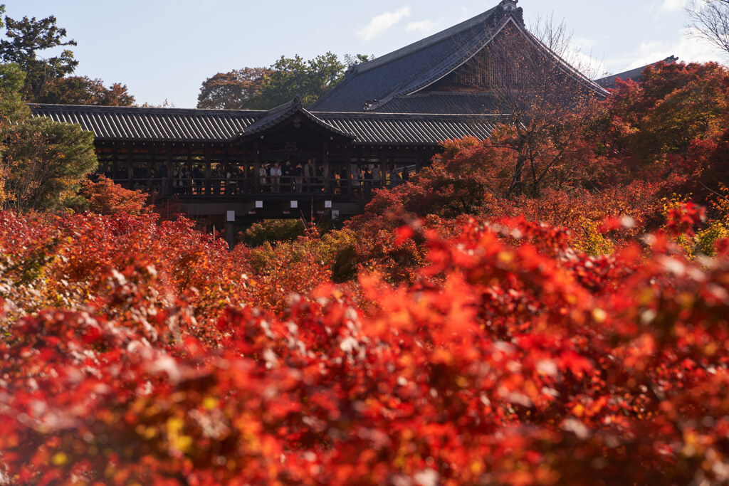 昨年の東福寺通天橋。