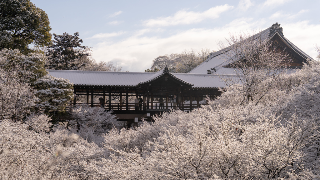 京都の銀世界。