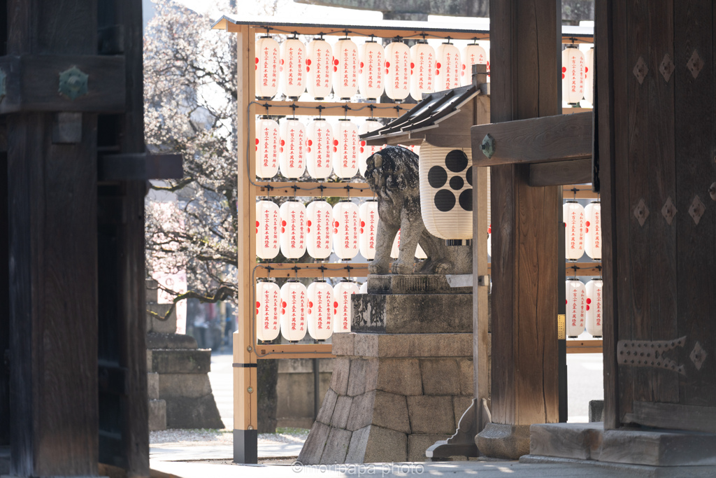 天満宮、東門の狛犬。
