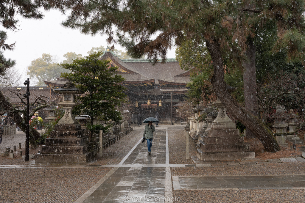 まだ春は程遠い。