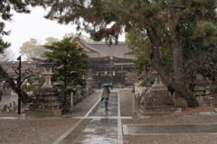 まだ春は程遠い。