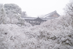 東福寺、通天橋。