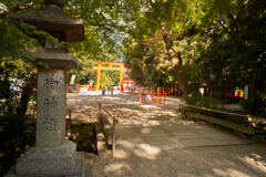 下鴨神社の南側。