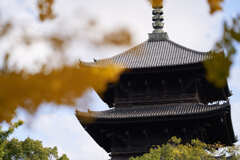 東寺の五重塔です。