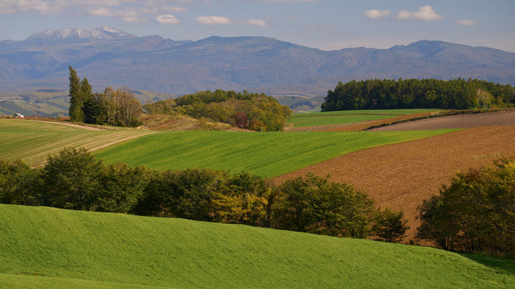 赤麦の丘の風景。