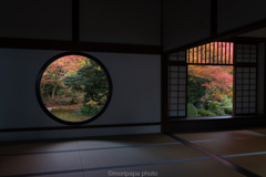 源光庵、2024年の秋。