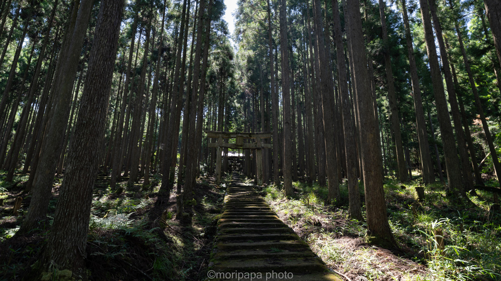 京北の賀茂神社。