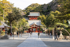 朝の鶴岡八幡宮。