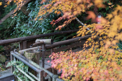 三千院参道の手水鉢。