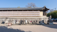 北野天満宮散歩。