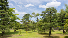 桂離宮。