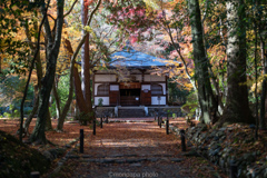 竹寺地蔵院本堂、2024年秋。