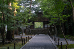 朝の法然院、山門。