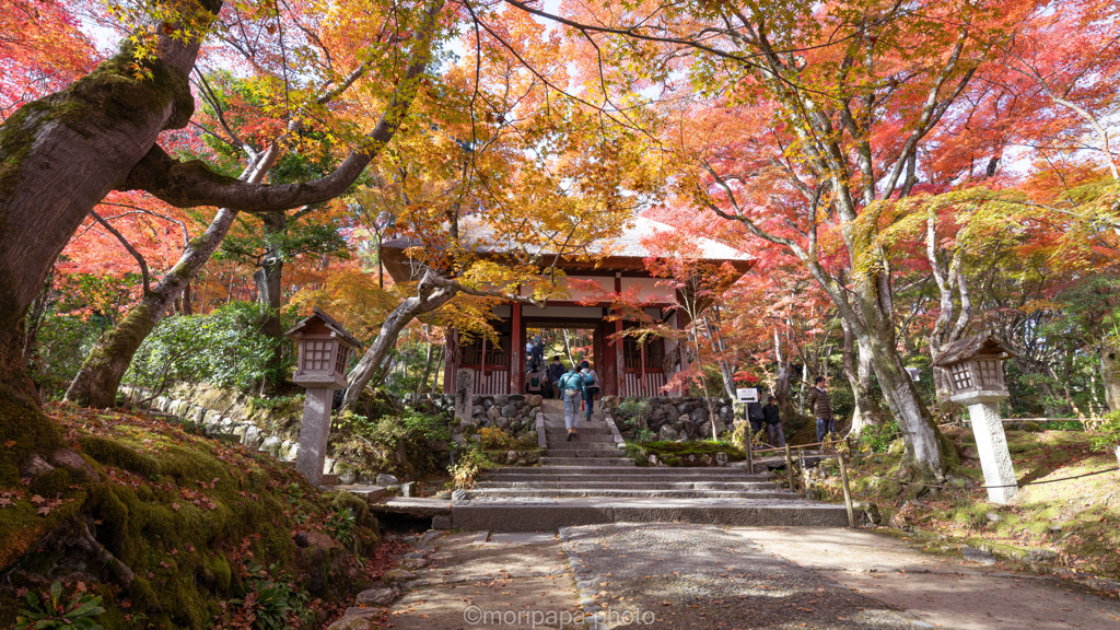 常寂光寺の秋。