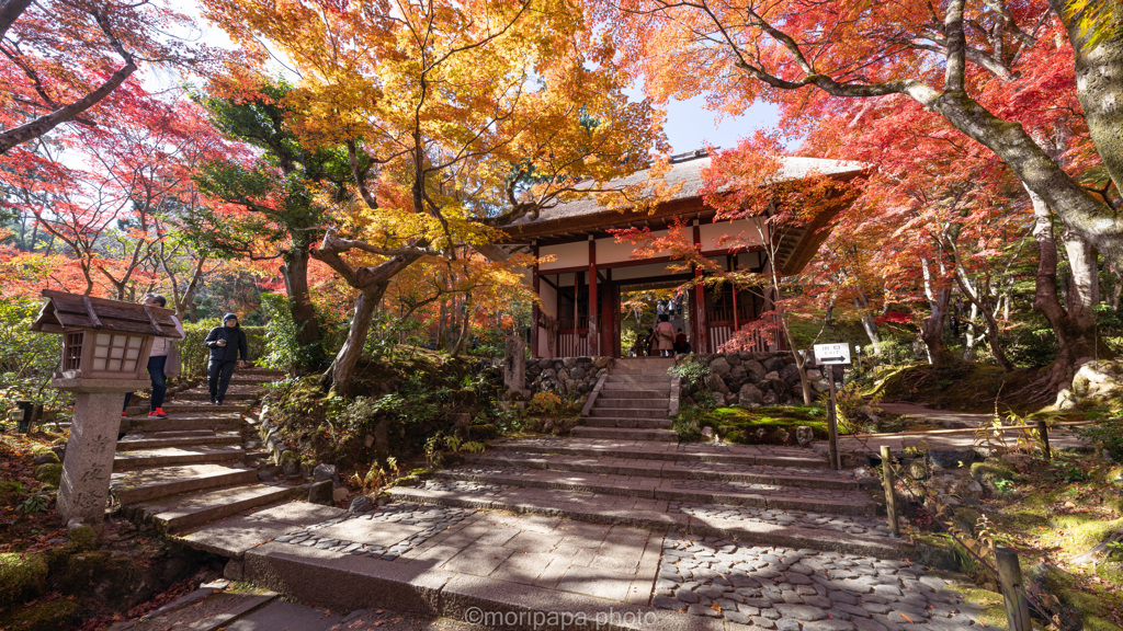 常寂光寺の仁王門。