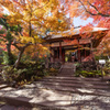 常寂光寺の仁王門。