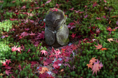 紅葉にご縁あり。