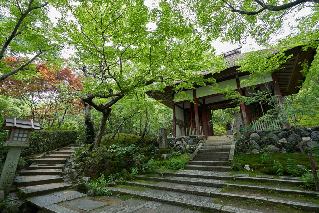７月に行った常寂光寺。